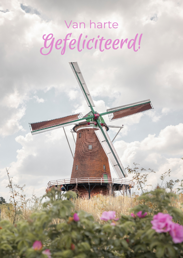 Felicitatiekaarten - Roze felicitatiekaart met foto van een molen