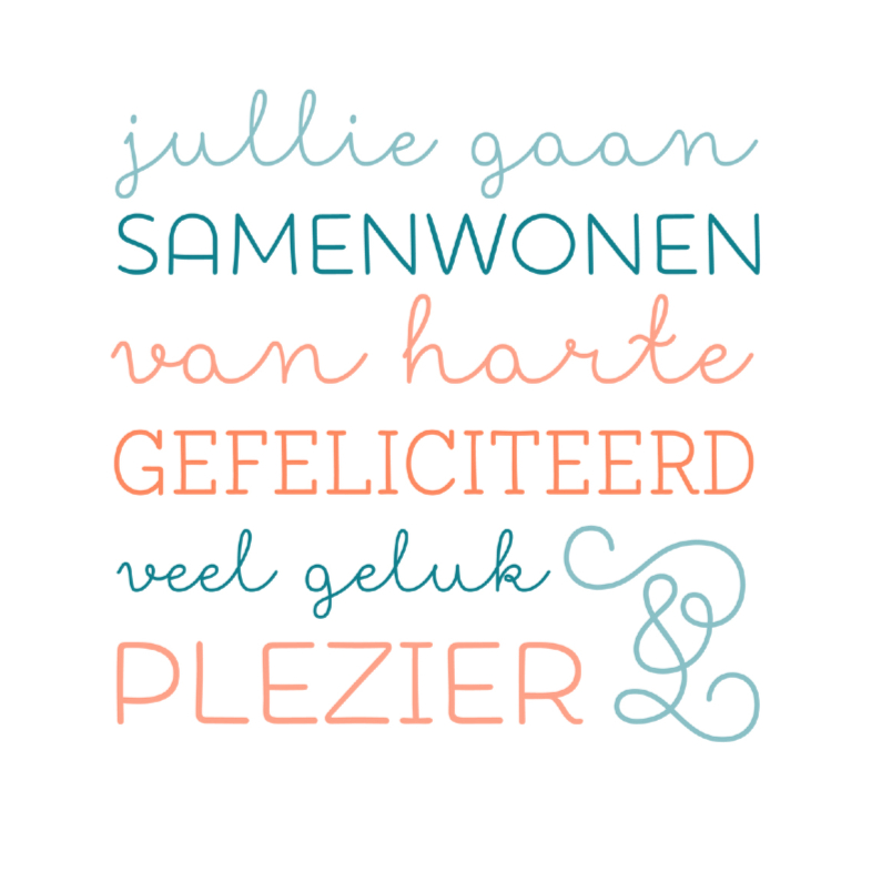 Samenwonen geluk & plezier - Felicitatiekaarten Felicitatiekaarten - Samenwonen geluk & plezier