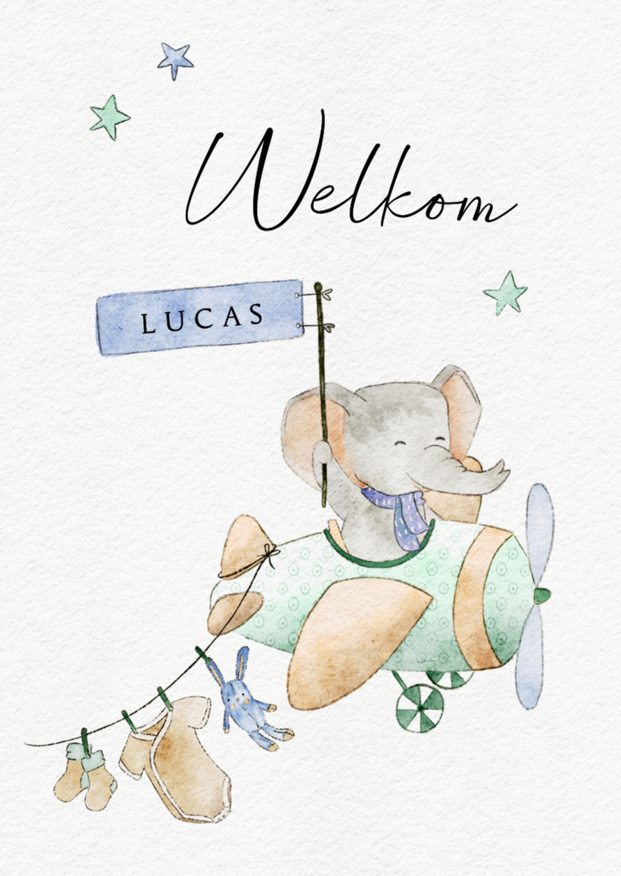 Schattig kaartje met olifant in vliegtuig voor geboorte zoon - Felicitatiekaarten Felicitatiekaarten - Schattig kaartje met olifant in vliegtuig voor geboorte zoon