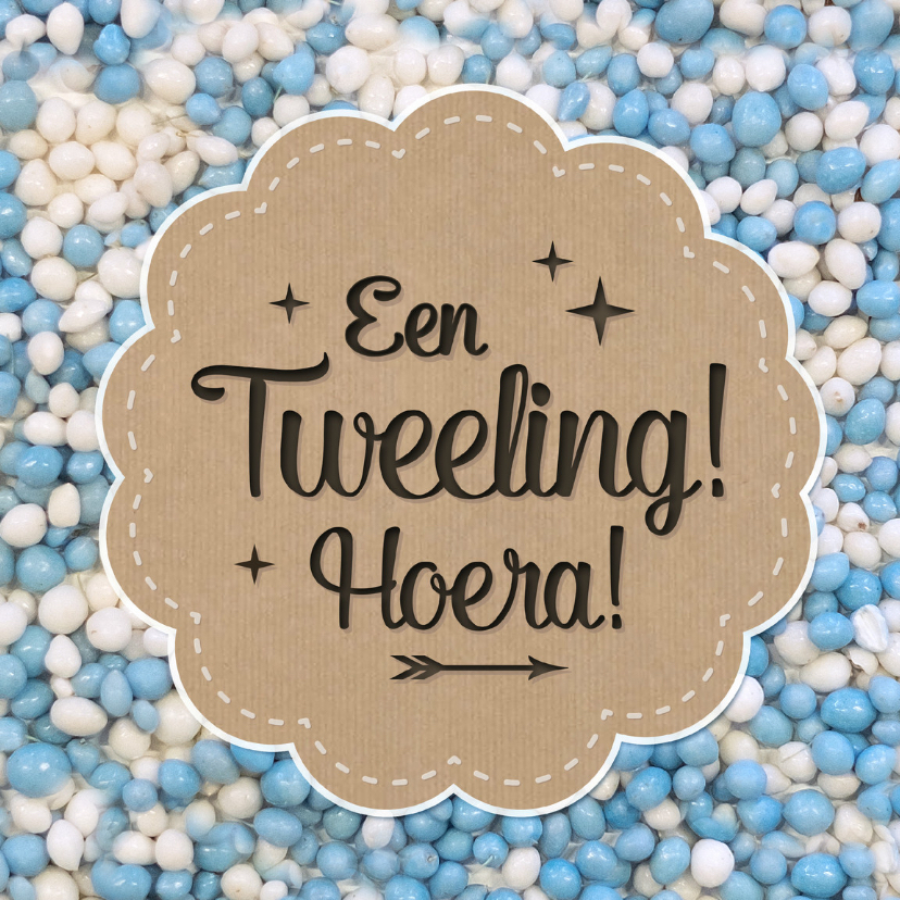 Felicitatiekaarten - Tweeling 2 jongens muisjes blauw