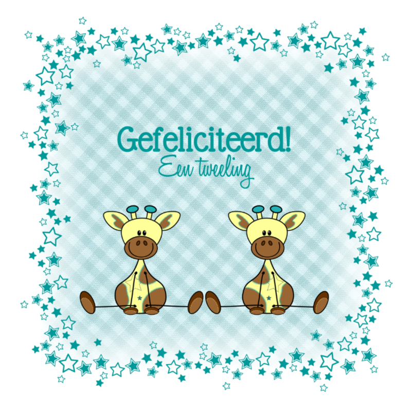 Tweeling jongens lieve girafjes - Felicitatiekaarten Felicitatiekaarten - Tweeling jongens lieve girafjes