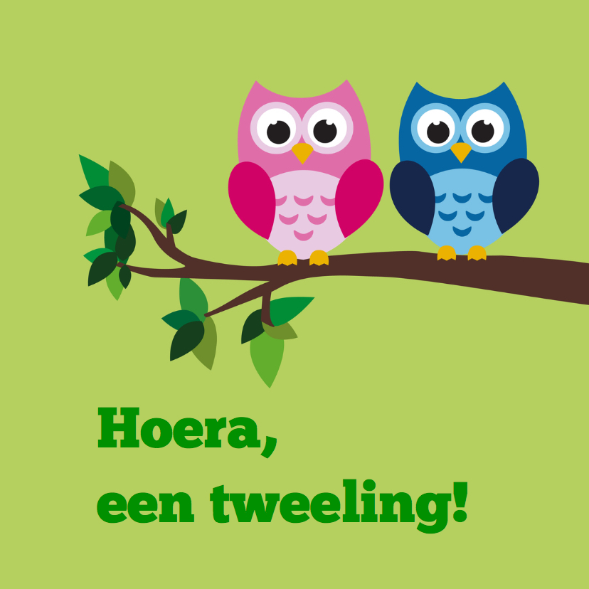 uiltjes felicitatie tweeling - Felicitatiekaarten Felicitatiekaarten - uiltjes felicitatie tweeling