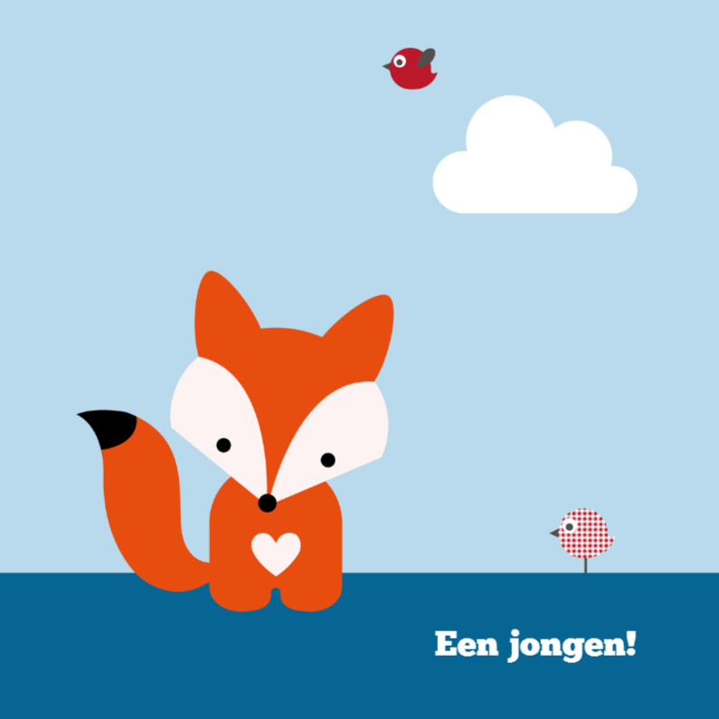 Vosje jongen - Felicitatiekaarten Felicitatiekaarten - Vosje jongen
