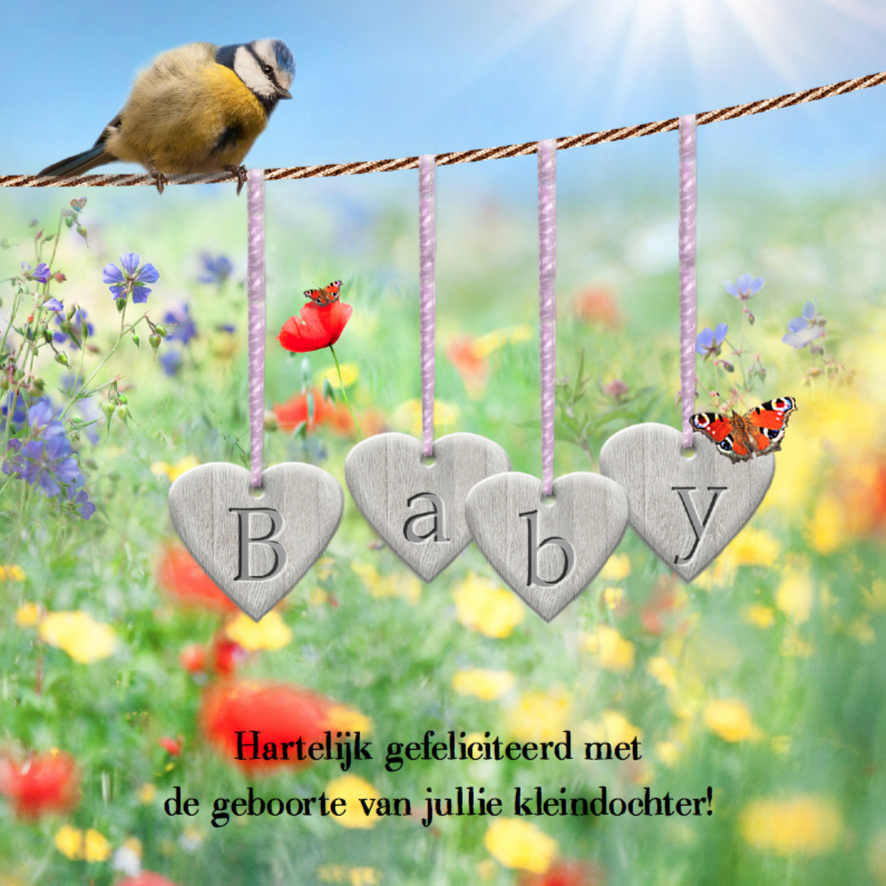 Zonnige geboortefelicitatie - roze - Felicitatiekaarten Felicitatiekaarten - Zonnige geboortefelicitatie - roze