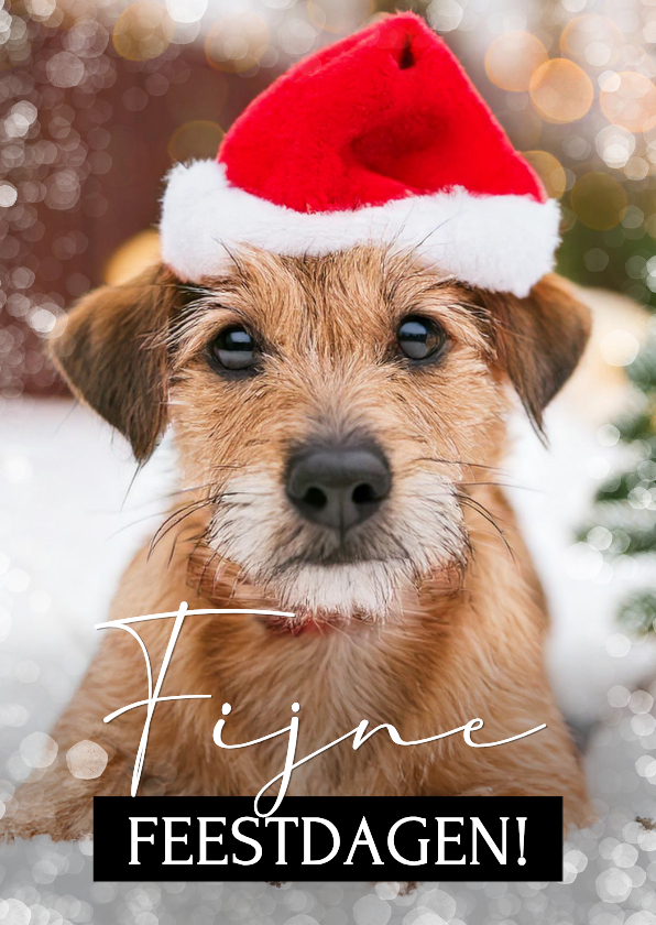 Fotokaart fijne feestdagen met eigen foto huisdier - Fotokaarten Fotokaarten - Fotokaart fijne feestdagen met eigen foto huisdier