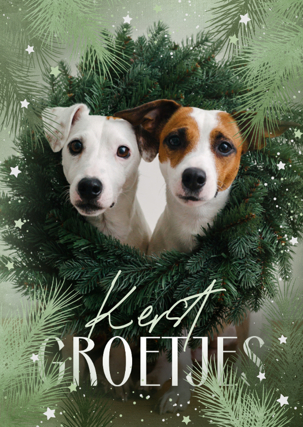 Fotokaart grote foto groene dennentakjes - Fotokaarten Fotokaarten - Fotokaart grote foto groene dennentakjes