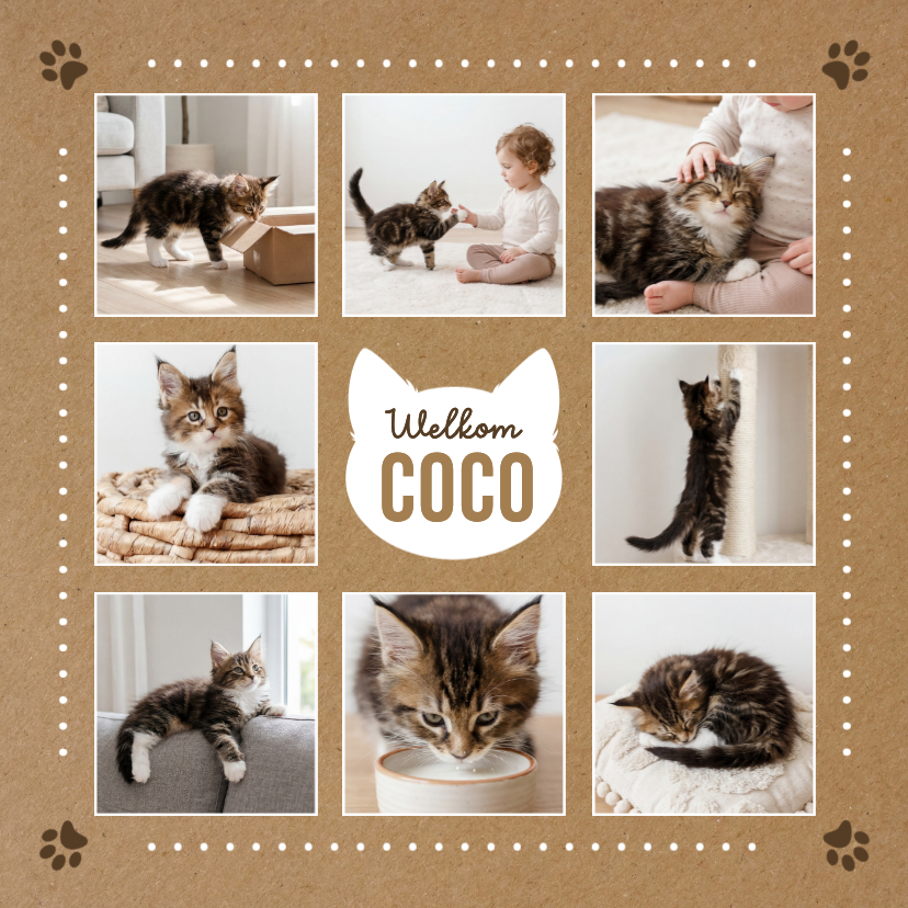 Fotokaarten -  Fotokaart welkom kat kitten aankondiging