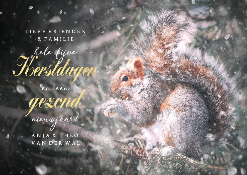 Fotokaarten - Klassieke kerst fotokaart eekhoorn met sneeuw en typografie