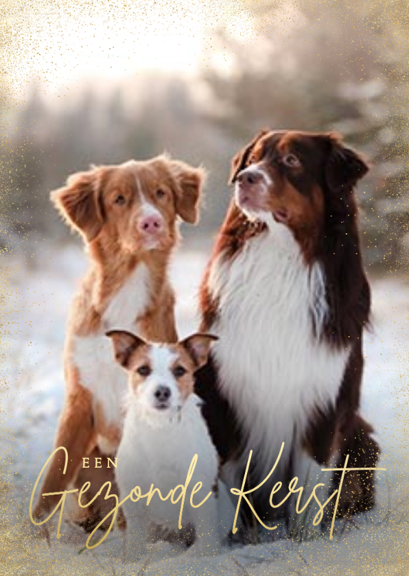 Fotokaarten - Stijlvolle zakelijke fotokaart gezonde kerst goudlook honden