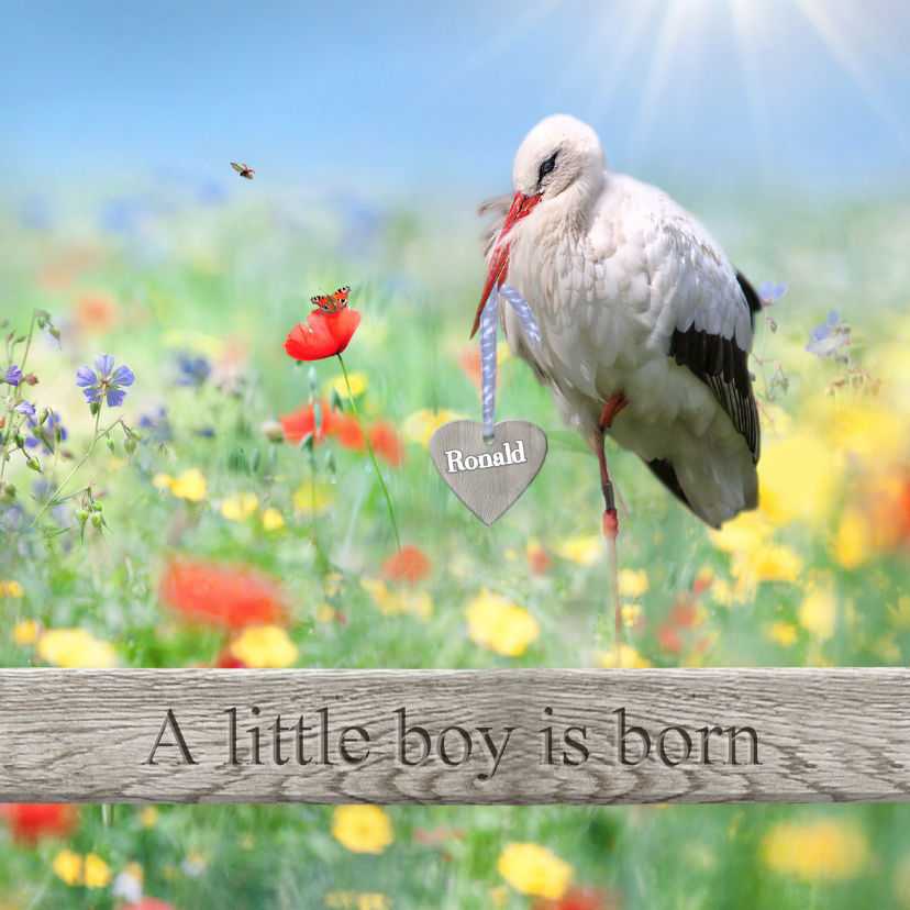 A little boy is born - Geboortekaartjes Geboortekaartjes - A little boy is born