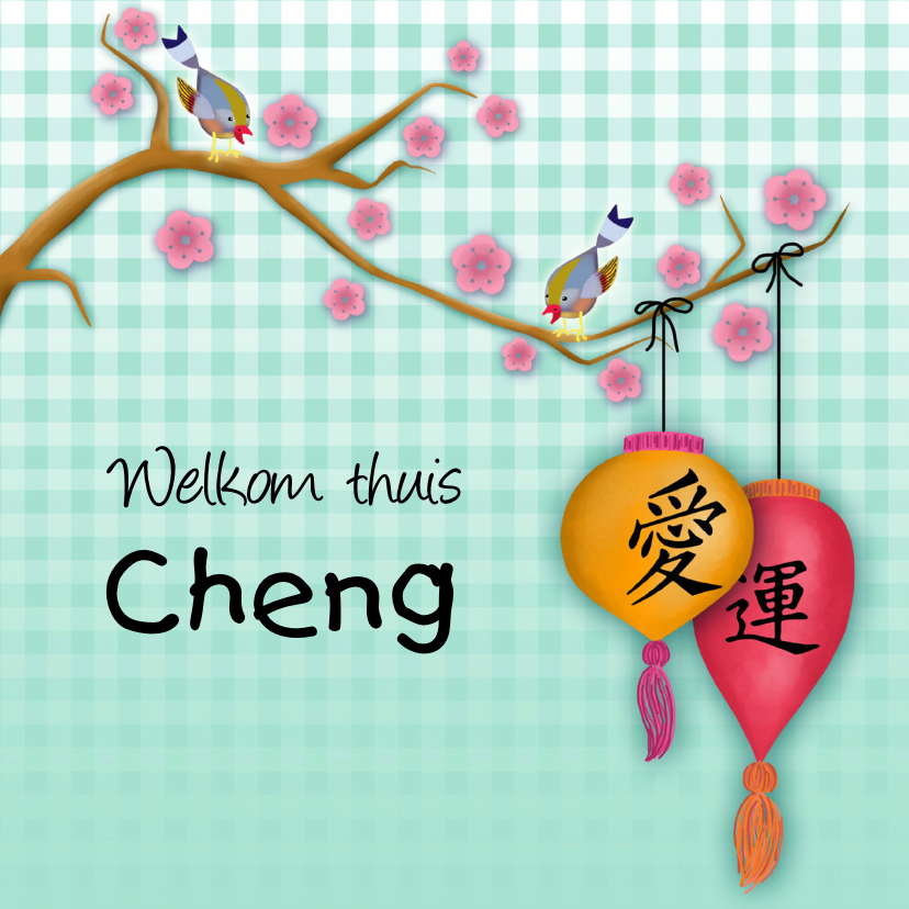 Adoptiekaartje from China - Geboortekaartjes Geboortekaartjes - Adoptiekaartje from China