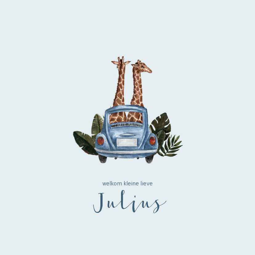 Geboortekaartjes - Blauw geboortekaartje met giraffen in een auto