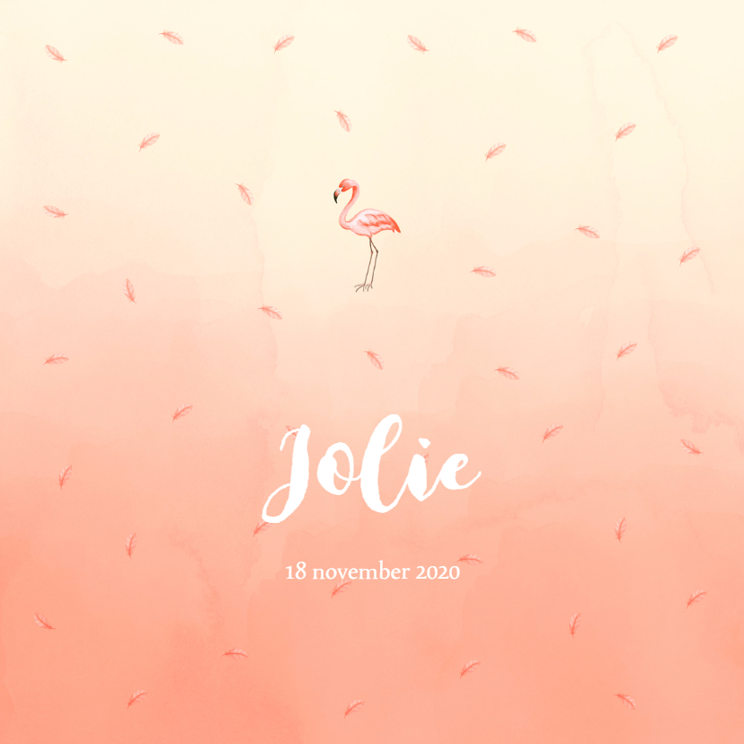 Flamingo geboortekaartje koraal - Geboortekaartjes Geboortekaartjes - Flamingo geboortekaartje koraal