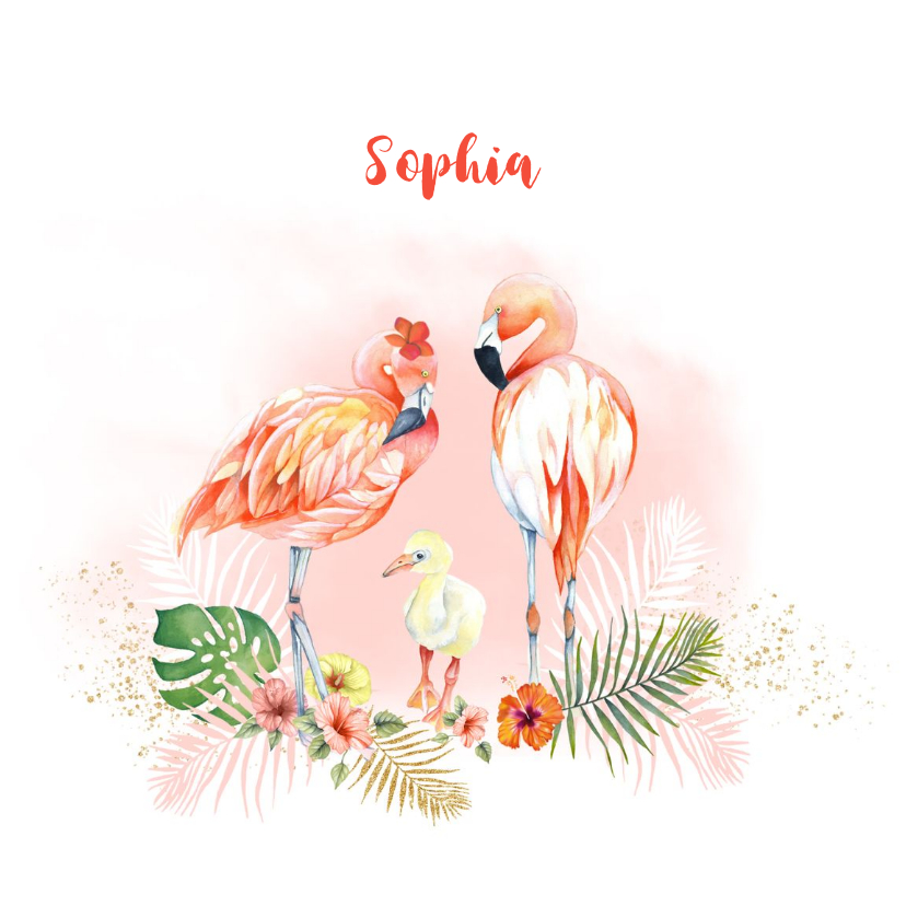 Geboorte flamingo baby - Geboortekaartjes Geboortekaartjes - Geboorte flamingo baby