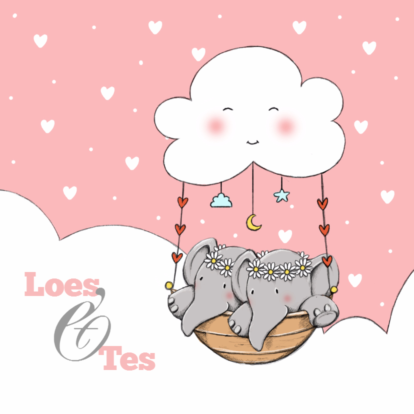 Geboorte tweeling Loes en Tes IH - Geboortekaartjes Geboortekaartjes - Geboorte tweeling Loes en Tes IH