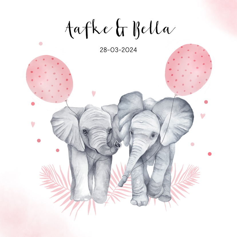Geboortekaartjes - Geboorte tweeling meisjes olifantjes