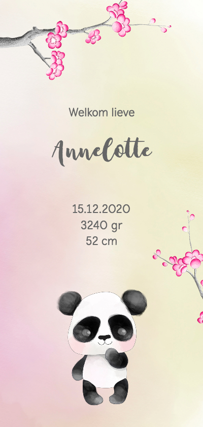 Geboortekaartjes - Geboortekaart-enkel Panda