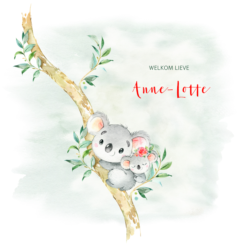 Geboortekaartjes - Geboortekaart meisje koala met bloem