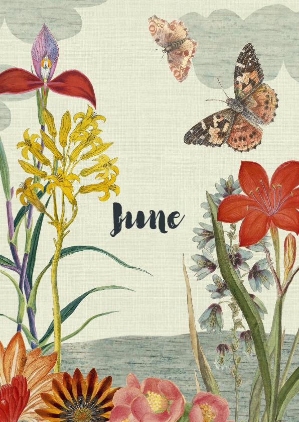 Geboortekaart met vintage bloemen en vlinders - Geboortekaartjes Geboortekaartjes - Geboortekaart met vintage bloemen en vlinders