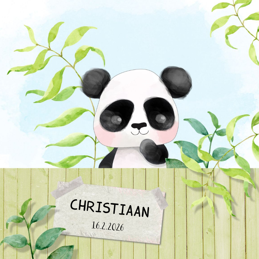 Geboortekaart Panda - jongen - Geboortekaartjes Geboortekaartjes - Geboortekaart Panda - jongen