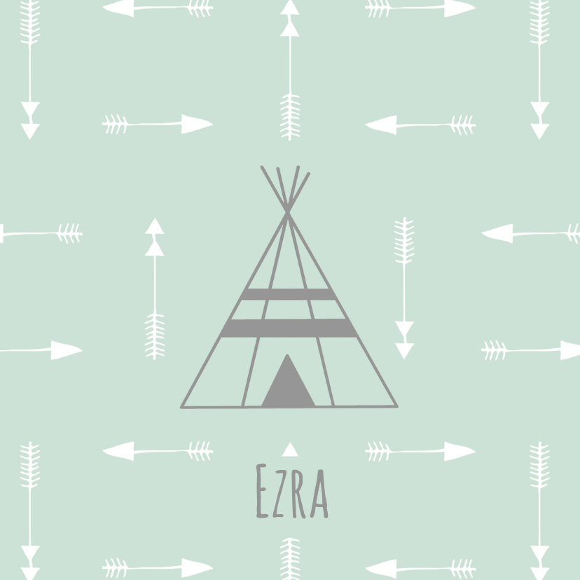 Geboortekaart tipi mint - BC - Geboortekaartjes Geboortekaartjes - Geboortekaart tipi mint - BC