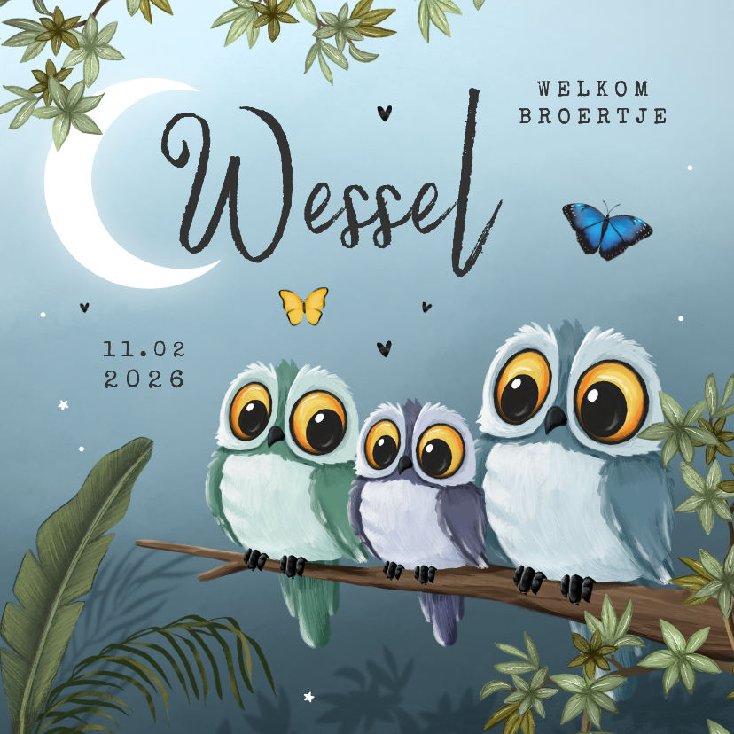 Geboortekaartjes - Geboortekaartje 3e kindje jongen uiltjes dieren nacht maan