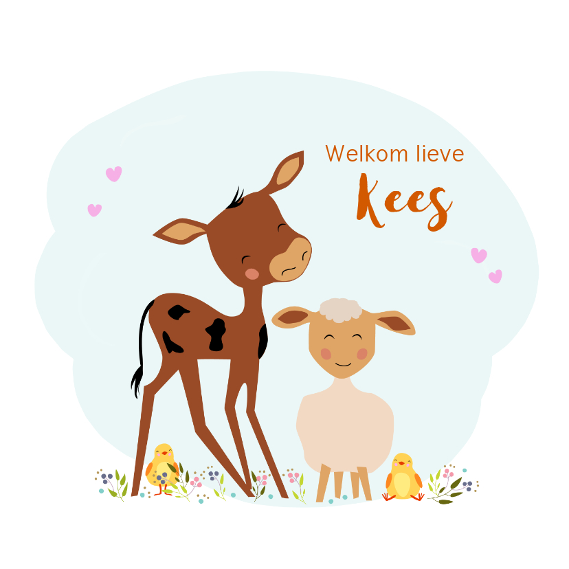 Geboortekaartje boerderij dieren - Geboortekaartjes Geboortekaartjes - Geboortekaartje boerderij dieren