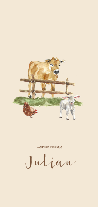 Geboortekaartjes - Geboortekaartje boerderij koe en lammetje