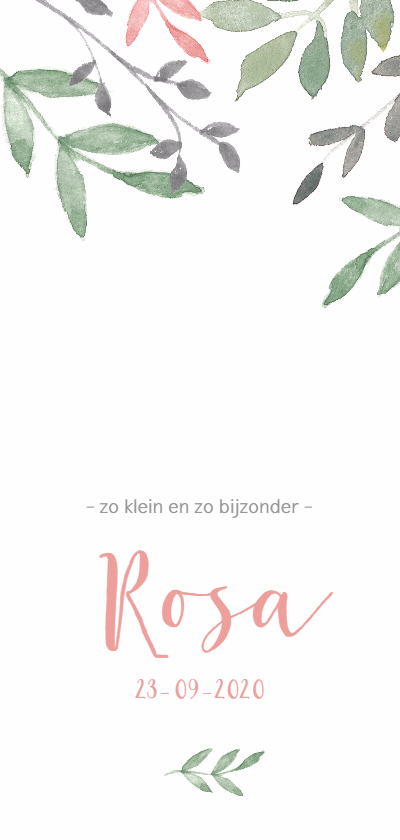 Geboortekaartje botanisch met roze en groene takjes - Geboortekaartjes Geboortekaartjes - Geboortekaartje botanisch met roze en groene takjes