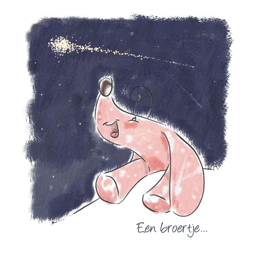 Geboortekaartje broertje wenskaart - Geboortekaartjes Geboortekaartjes - Geboortekaartje broertje wenskaart