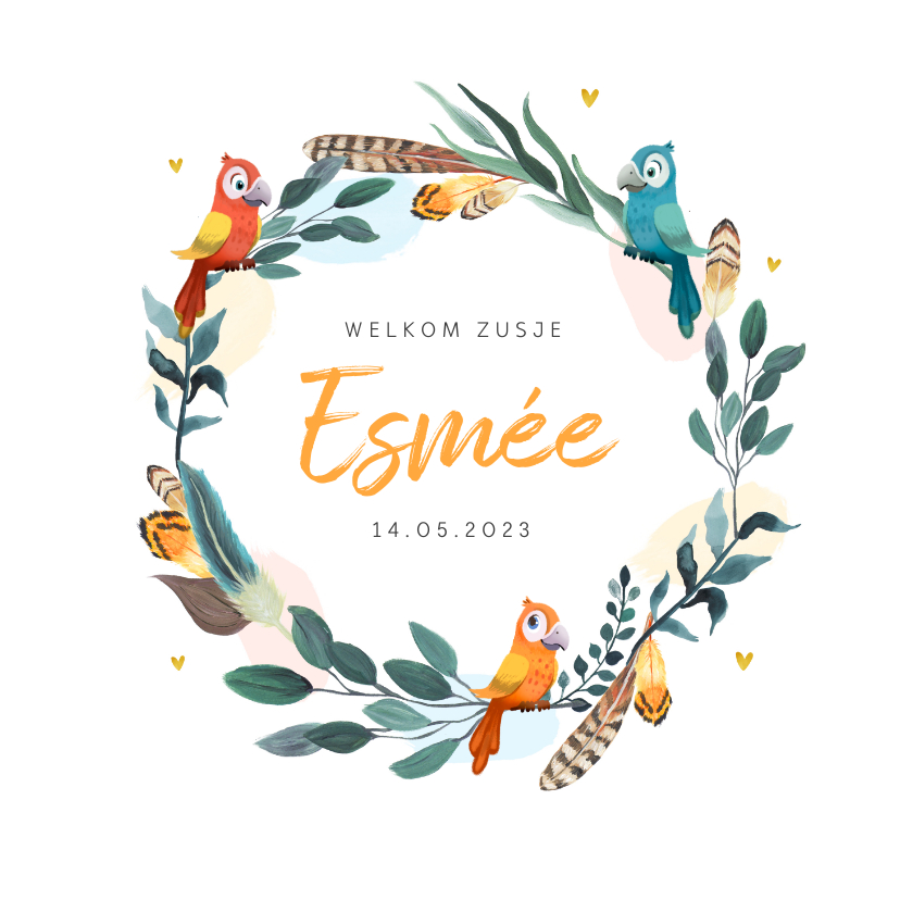 Geboortekaartje broertje zusje vogeltjes bohemian krans - Geboortekaartjes Geboortekaartjes - Geboortekaartje broertje zusje vogeltjes bohemian krans