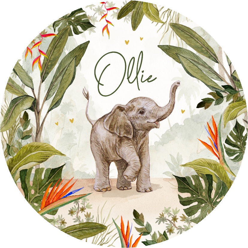 Geboortekaartje cirkel jungle olifant baby schattig - Geboortekaartjes Geboortekaartjes - Geboortekaartje cirkel jungle olifant baby schattig