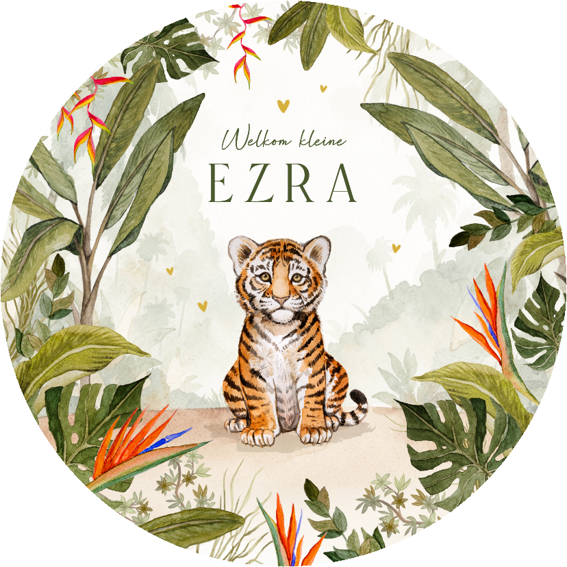 Geboortekaartje cirkel jungle tijger waterverf baby schattig - Geboortekaartjes Geboortekaartjes - Geboortekaartje cirkel jungle tijger waterverf baby schattig
