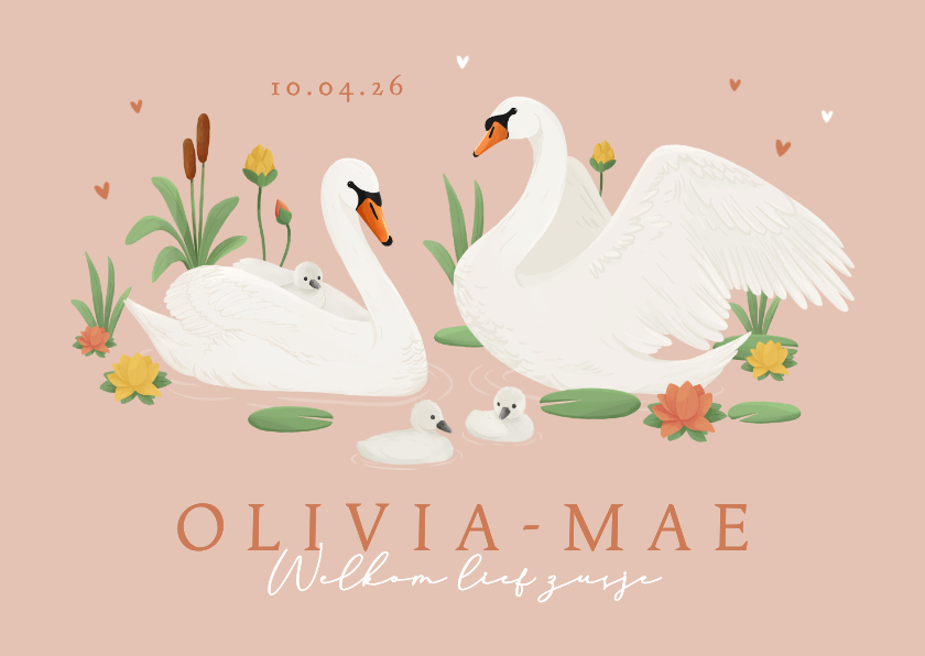 Geboortekaartjes - Geboortekaartje derde kindje zwanen lief lente zusje