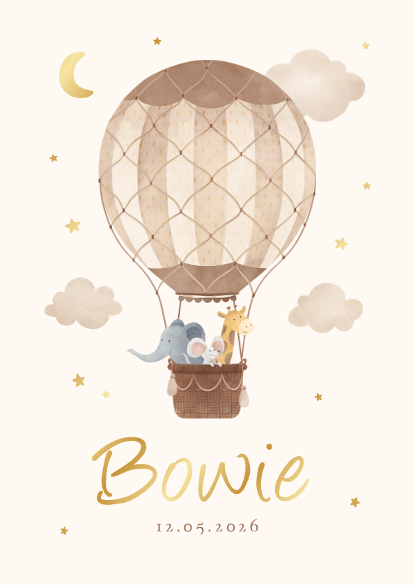 Geboortekaartje dieren luchtballon vintage wolkjes sterren - Geboortekaartjes Geboortekaartjes - Geboortekaartje dieren luchtballon vintage wolkjes sterren