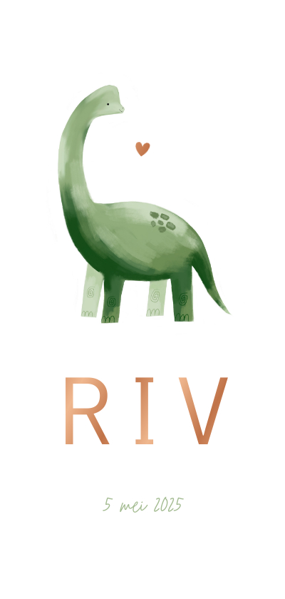 Geboortekaartje dinosaurus illustratie hartje koper jongen - Geboortekaartjes Geboortekaartjes - Geboortekaartje dinosaurus illustratie hartje koper jongen