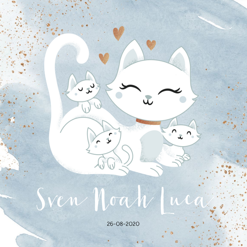 Geboortekaartje drieling meerling jongens poes met kittens - Geboortekaartjes Geboortekaartjes - Geboortekaartje drieling meerling jongens poes met kittens