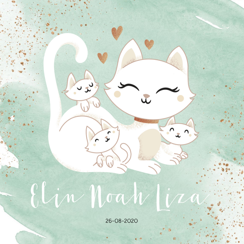 Geboortekaartjes - Geboortekaartje drieling meerling neutraal poes met kittens