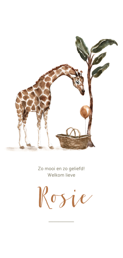 Geboortekaartjes - Geboortekaartje giraf met baby mand en ballon
