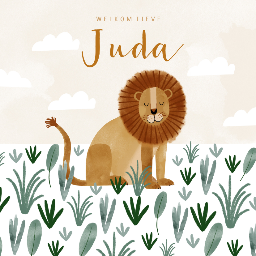 Geboortekaartjes - Geboortekaartje hip leeuw savanne illustratie