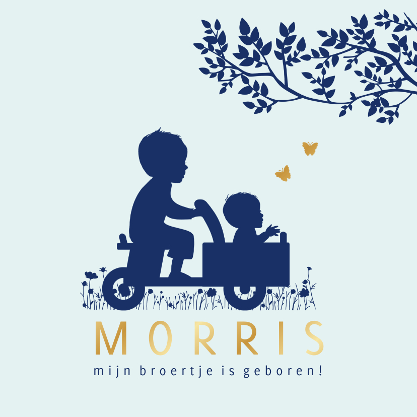 Geboortekaartje houten bakfiets met broertjes - Geboortekaartjes Geboortekaartjes - Geboortekaartje houten bakfiets met broertjes