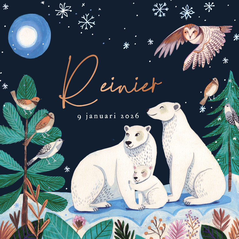 Geboortekaartjes - Geboortekaartje ijsberen familie maan en sneeuw