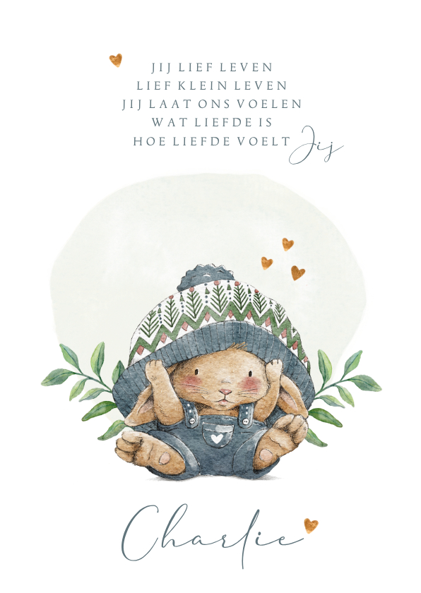 Geboortekaartjes - Geboortekaartje jongen met lief konijntje