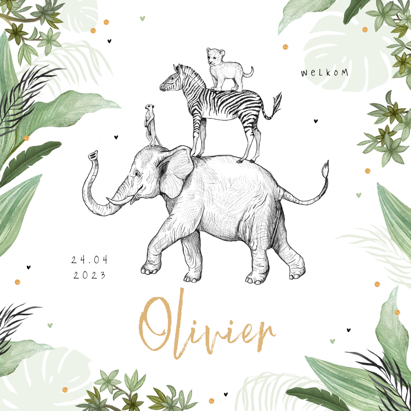 Geboortekaartje jungle dieren olifant leeuw confetti jongen - Geboortekaartjes Geboortekaartjes - Geboortekaartje jungle dieren olifant leeuw confetti jongen