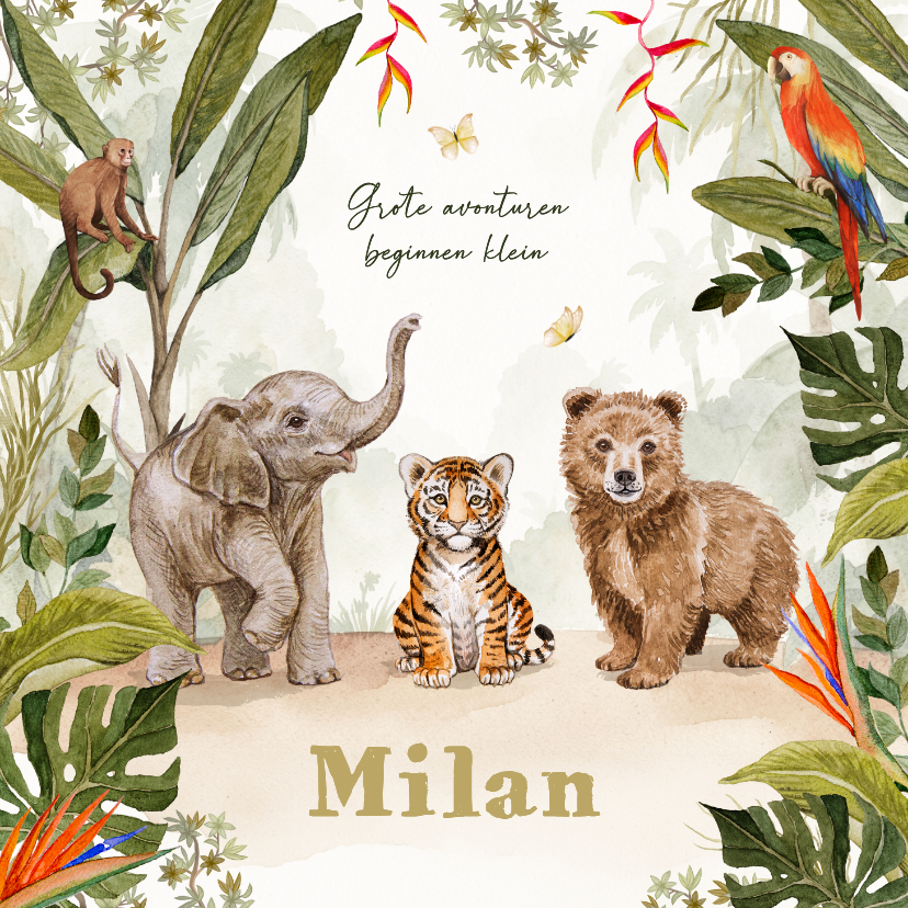 Geboortekaartje jungle dieren schattig waterverf illustratie - Geboortekaartjes Geboortekaartjes - Geboortekaartje jungle dieren schattig waterverf illustratie