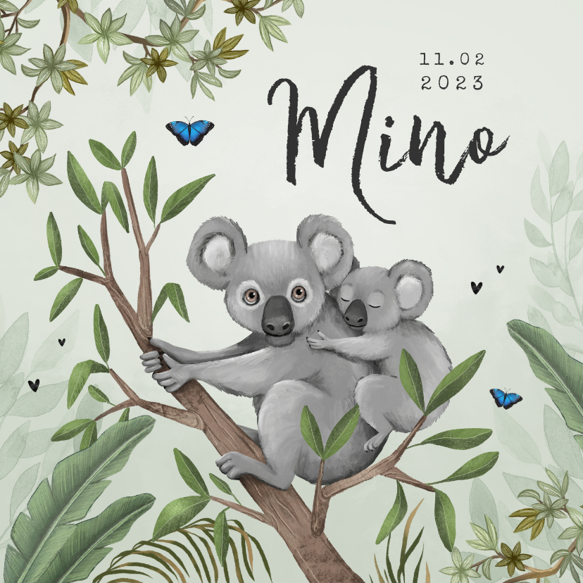 Geboortekaartjes - Geboortekaartje koala jungle baby groen vlinders