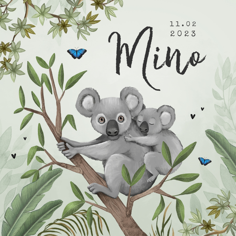 Geboortekaartje koala jungle baby groen vlinders - Geboortekaartjes Geboortekaartjes - Geboortekaartje koala jungle baby groen vlinders