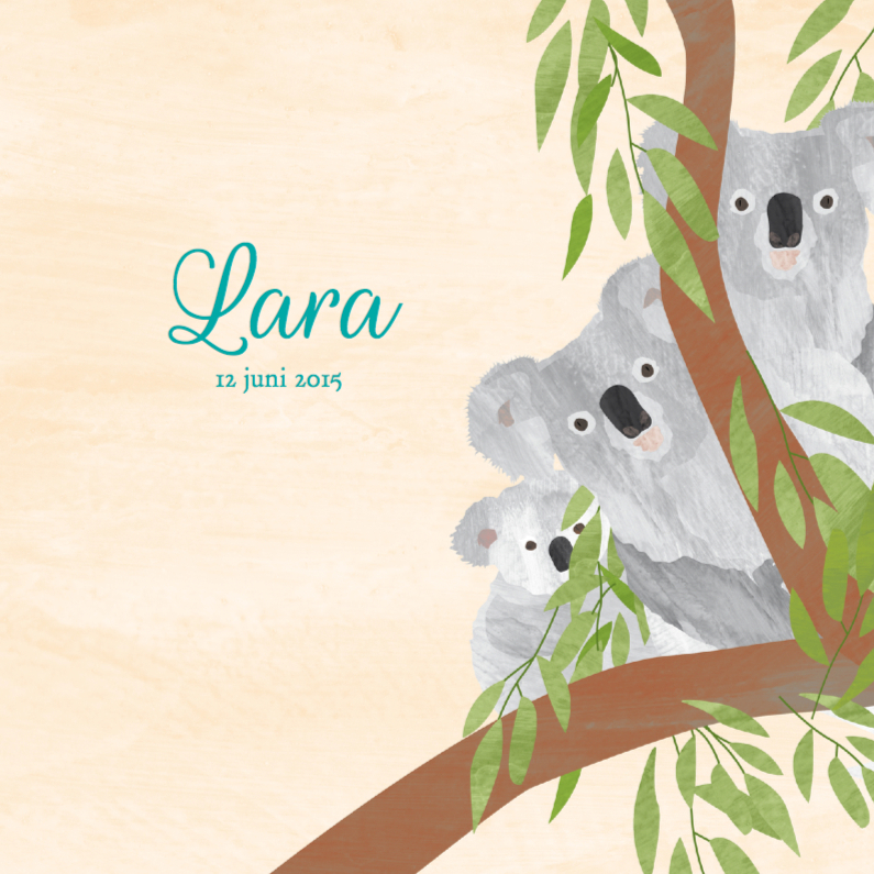 Geboortekaartje koala kangoeroe - Geboortekaartjes Geboortekaartjes - Geboortekaartje koala kangoeroe