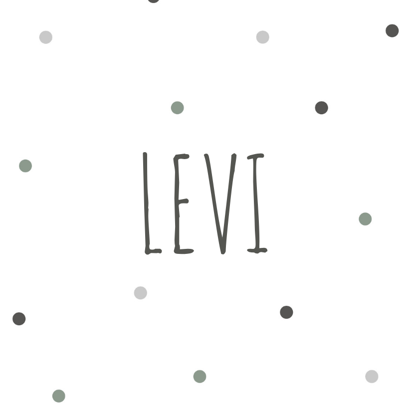 Geboortekaartje Levi Jonas - Geboortekaartjes Geboortekaartjes - Geboortekaartje Levi Jonas