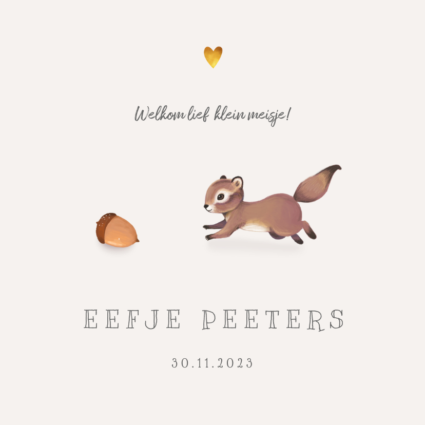 Geboortekaartje lief herfst met schattig eekhoorntje - Geboortekaartjes Geboortekaartjes - Geboortekaartje lief herfst met schattig eekhoorntje